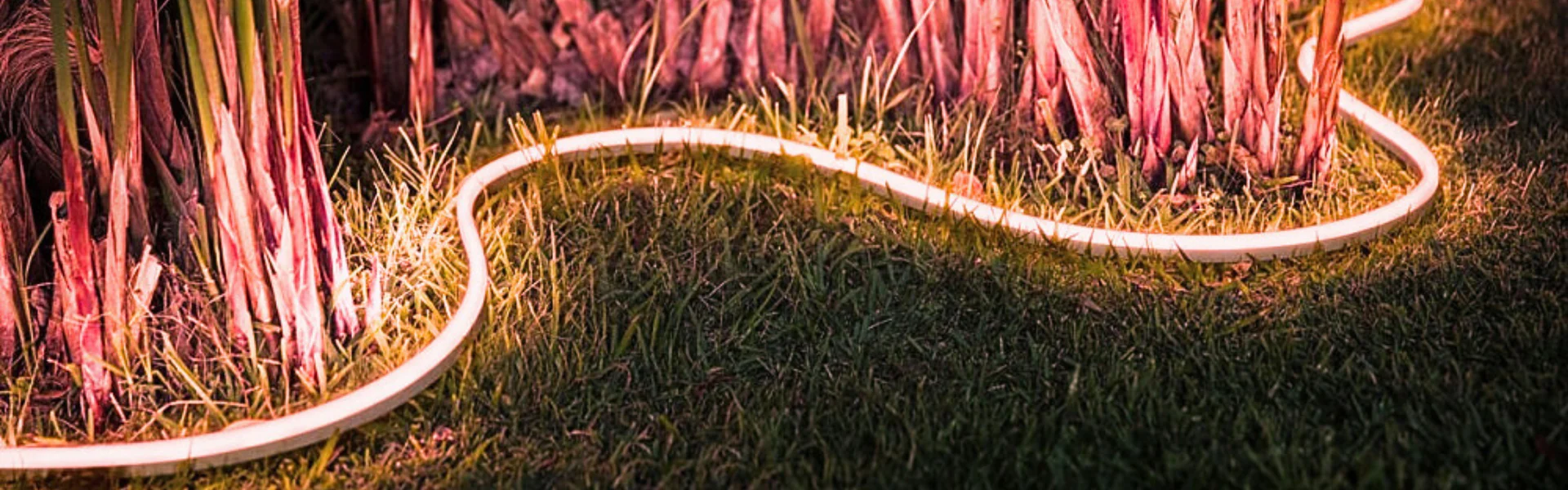 Advanced Neon Technology